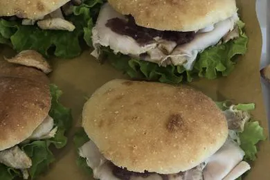 panzerè panini 